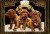 Dogue De Bordeaux Puppies - Image 1