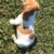 Jack Russell Terrier (4)